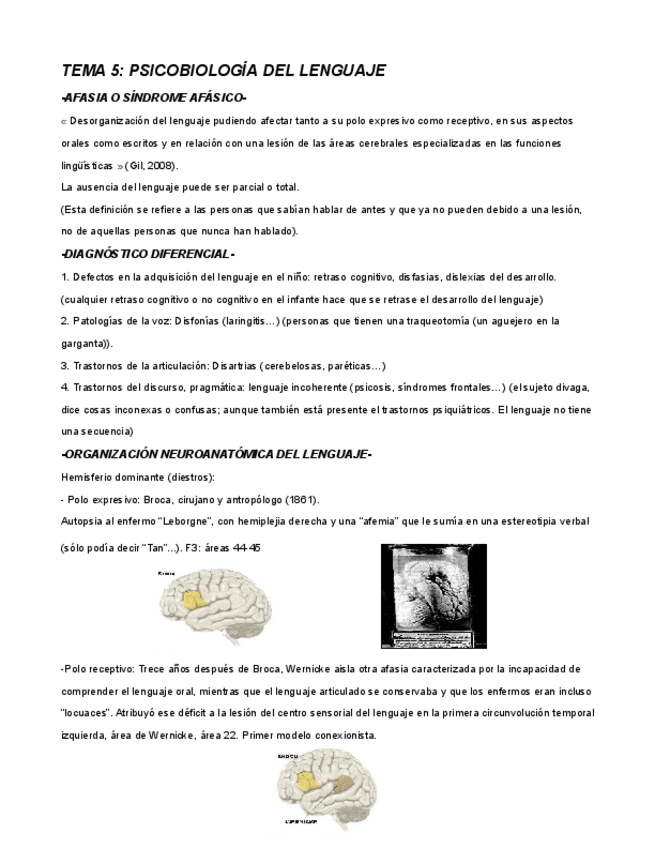 Miniatura del documento TEMA-5.-PSICOBIOLOGIA-DEL-LENGUAJE.pdf