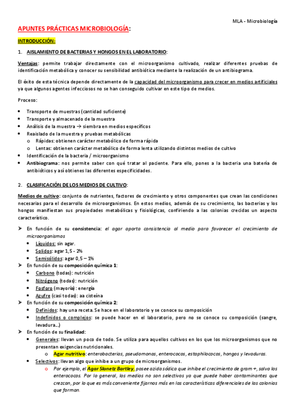 Miniatura del documento RESUMEN-practicas.pdf