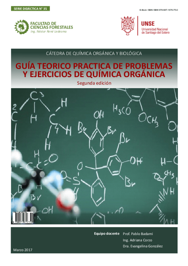 Miniatura del documento SD-35-Guia-teorica-practica-de-problemas-y-ejercicios-de-quimica-organicaBADAMI-1.pdf