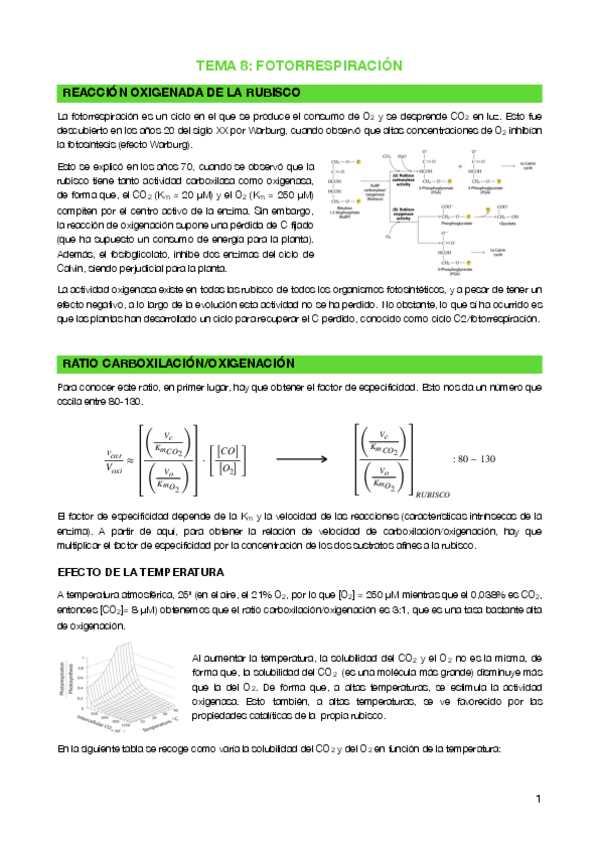 Miniatura del documento Tema-8-Fotorrespiracion.pdf