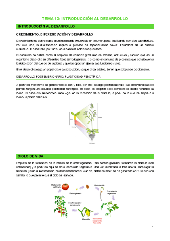 Miniatura del documento Tema-13-Introduccion-al-desarrollo.pdf