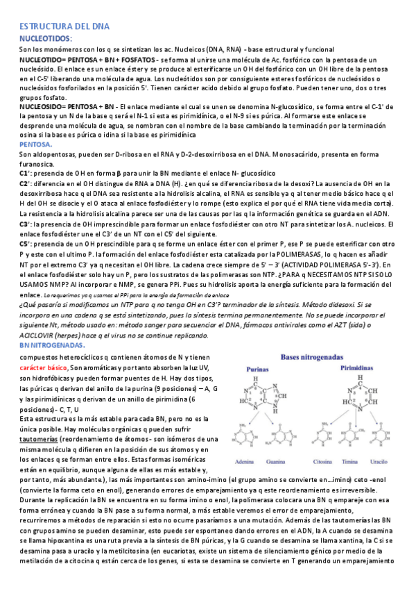 Miniatura del documento segundo-parcial-de-bioquimica.pdf
