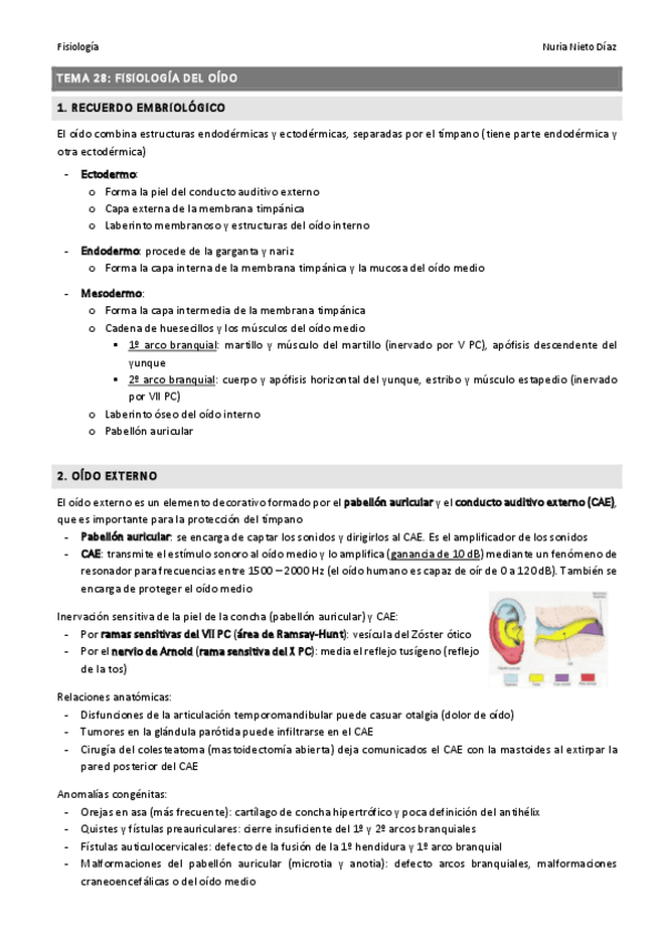 Miniatura del documento TEMA 28 - Fisiología del oído.pdf