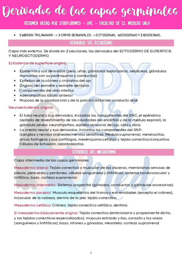 Miniatura del documento DERIVADOS-CAPAS-GERMINALES-EMBRIO-STUDY.ORIMED-MED-UNLP.pdf