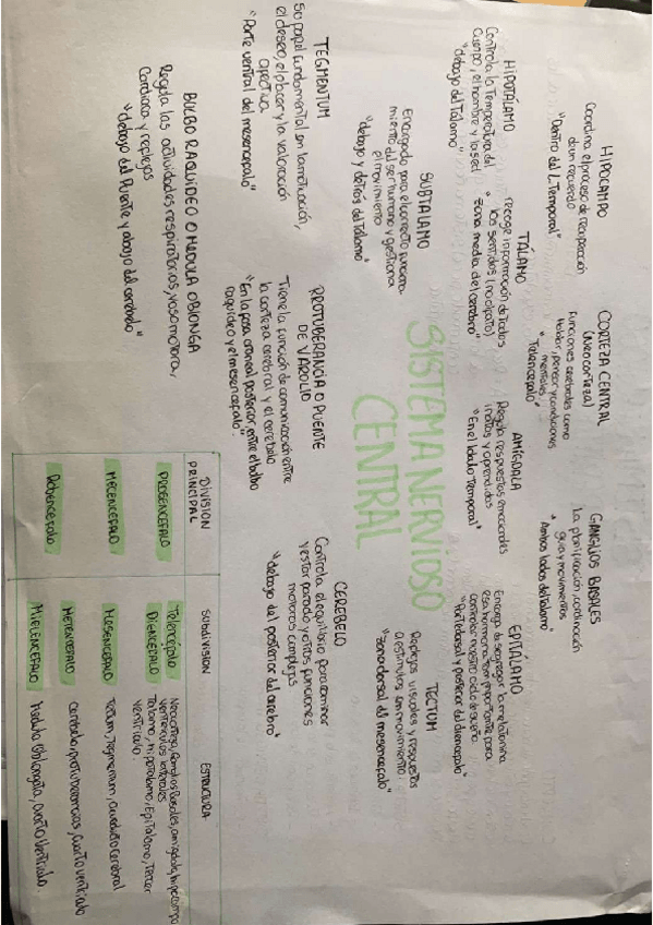 Miniatura del documento cerebro.pdf