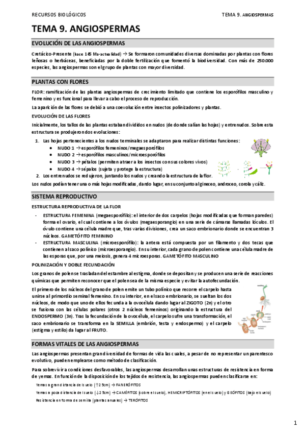 Miniatura del documento 09.-ANGIOSPERMAS.pdf