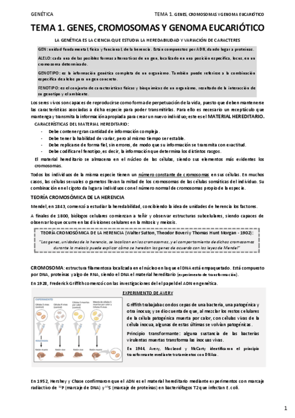 Miniatura del documento 01.-GENES-CROMOSOMAS-Y-GENOMA-EUCARIOTICO.pdf