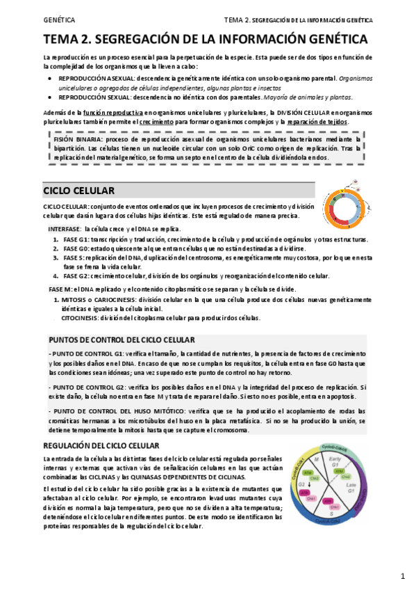 Miniatura del documento 02.-MITOSIS-Y-MEIOSIS.pdf