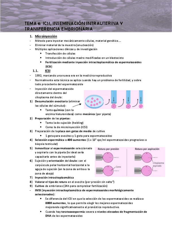 Miniatura del documento Tema-6-apuntes.pdf