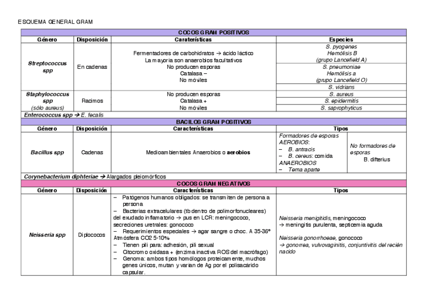 Miniatura del documento BLOQUE-BACTERIAS.pdf