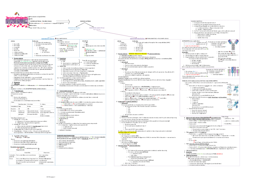 Miniatura del documento ESQUEMA-INMUNOLOGIA.pdf