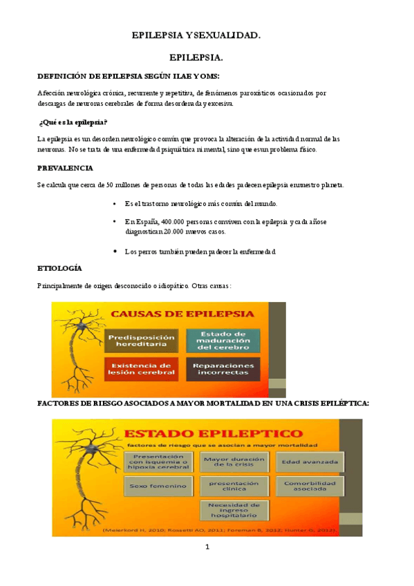 Miniatura del documento EPILEPSIA.pdf