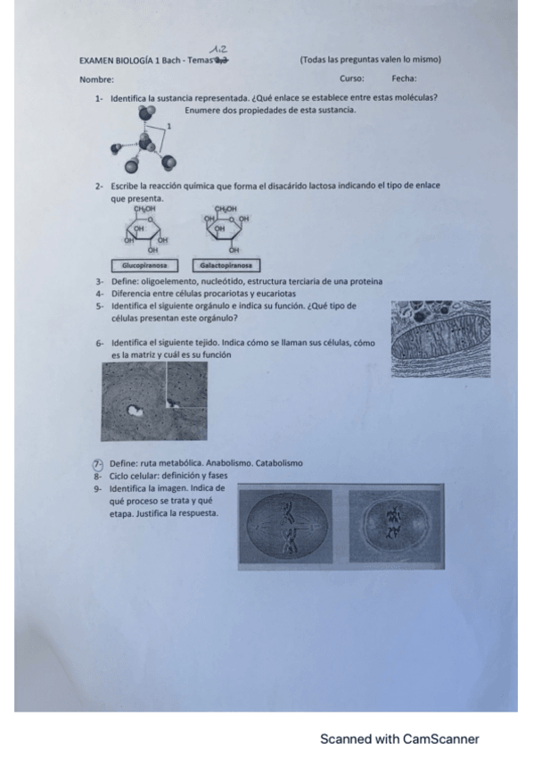 Miniatura del documento EXAMEN-BIOQUIMICA-1-BACH.pdf