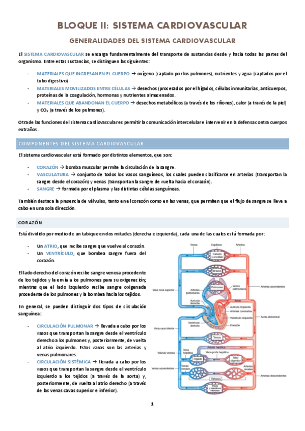 Miniatura del documento CARDIOVASCULAR.pdf