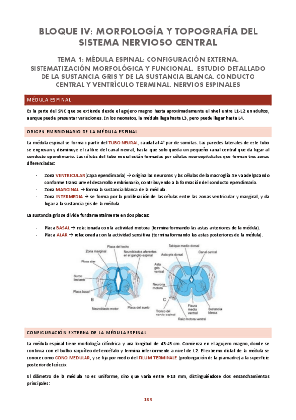 Miniatura del documento SISTEMA-NERVIOSO.pdf