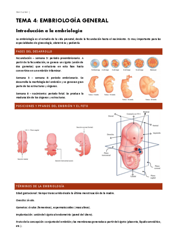 Miniatura del documento EMBRIOLOGIA.pdf