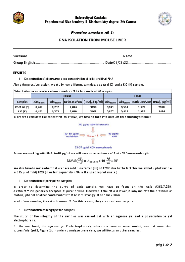 Miniatura del documento Memoria-Practicas-COMPLETAS-Ingles-Nota-10.pdf