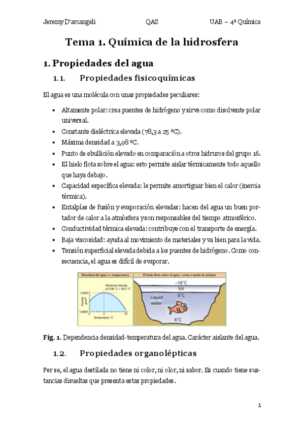 Miniatura del documento Teoria-T1-QAS.pdf