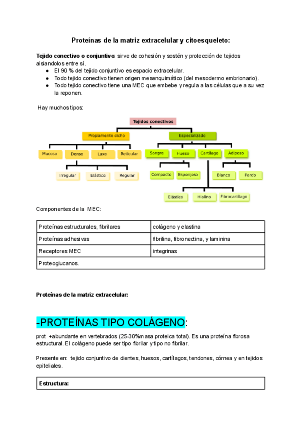 Miniatura del documento Tema-1.-Proteinas-de-la-matriz-extracelular-y-citoesqueleto-2023.pdf