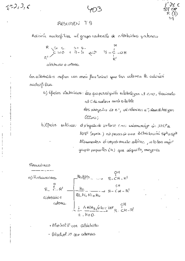 Miniatura del documento 403.pdf