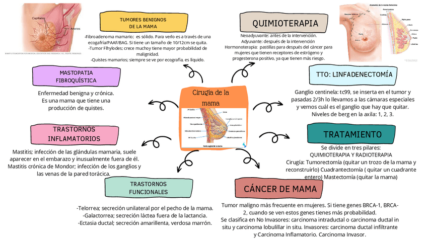 Miniatura del documento pdf202303042141530000.pdf