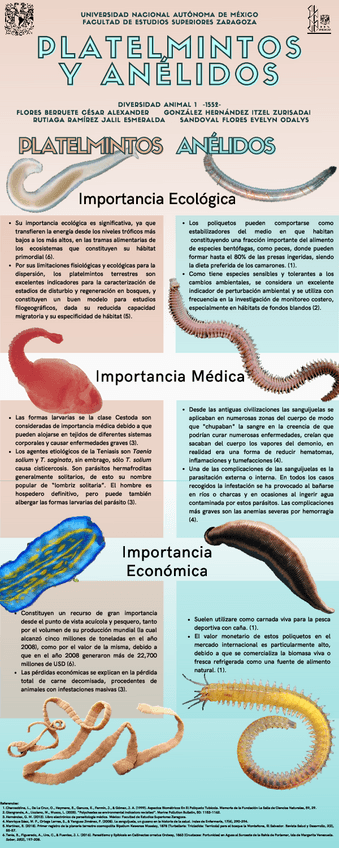 Miniatura del documento Platelmintos-y-Anelidos.pdf