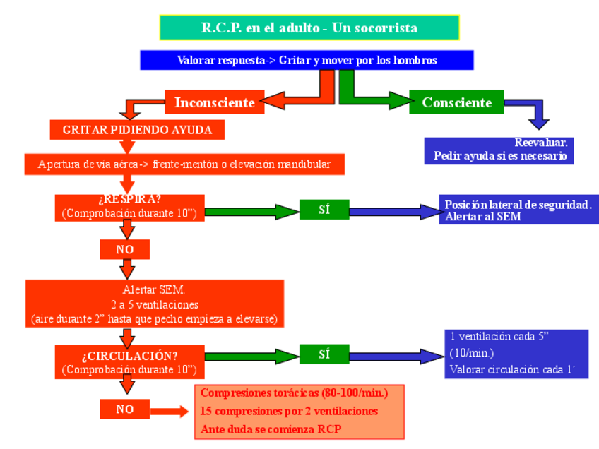 Miniatura del documento RCP-EN-EL-ADULTO-EL-SOCORRISTA.pdf