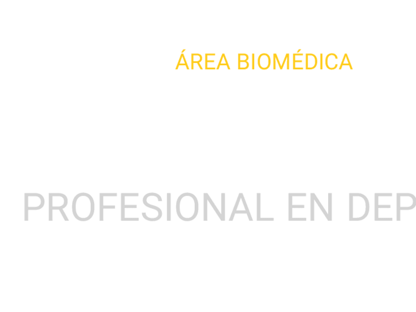 Miniatura del documento AREA-DEL-DEPORTE.pdf