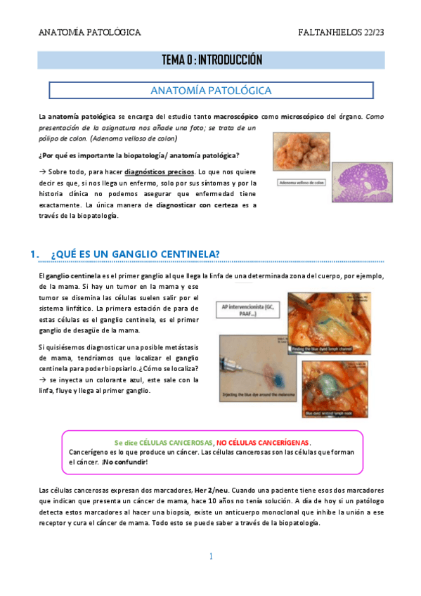 Miniatura del documento 0.-Introduccion.pdf