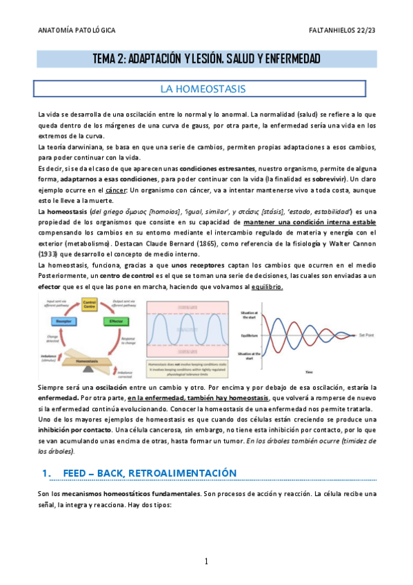 Miniatura del documento 2.-Adaptacion-y-lesion.-Salud-y-enfermedad.pdf