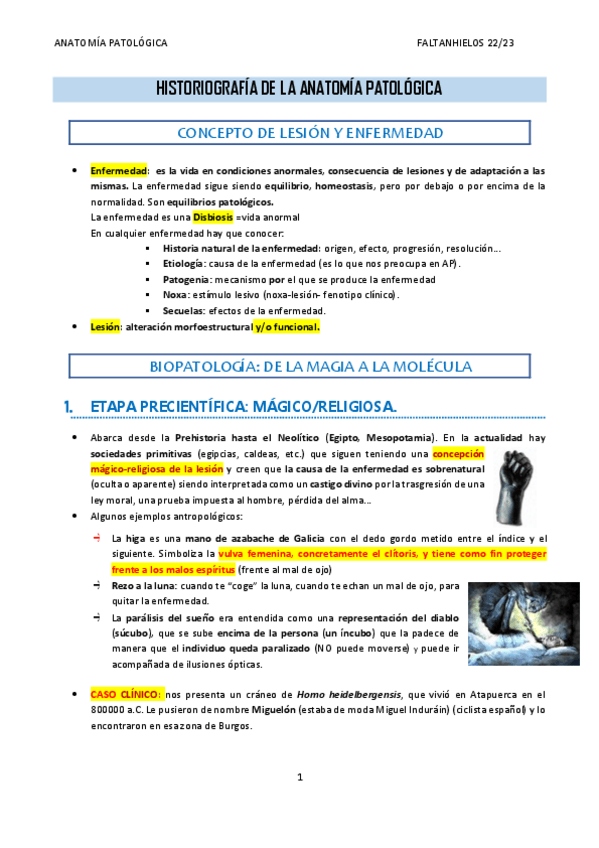 Miniatura del documento Seminario-1.-Historiografia-de-la-Anatomia-Patologica.pdf