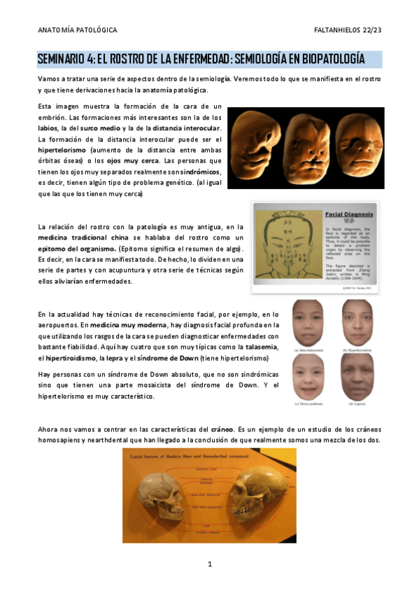 Miniatura del documento Seminario-4.-El-rostro-de-la-enfermedad-semiologia-en-biopatologia.pdf