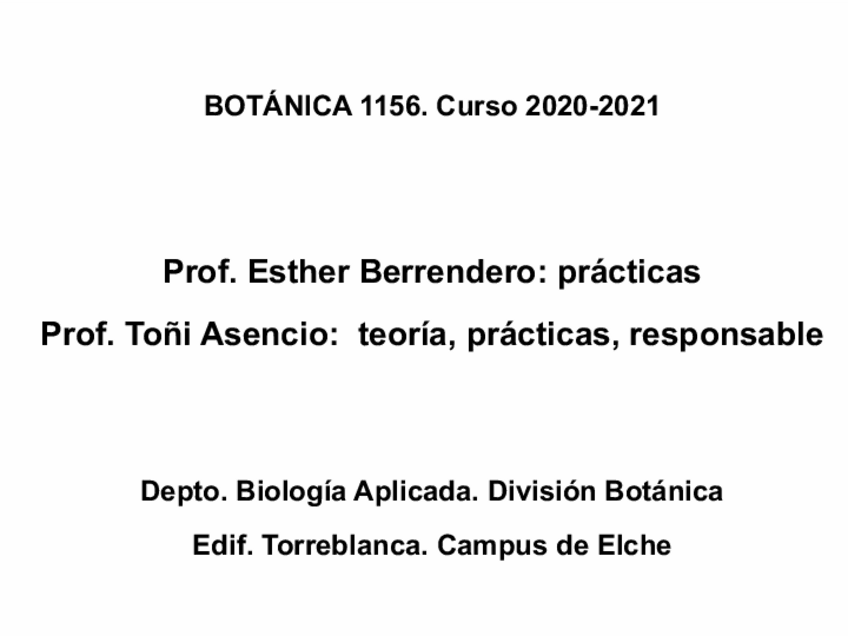 Miniatura del documento Presentacion-2021-reducido.pdf