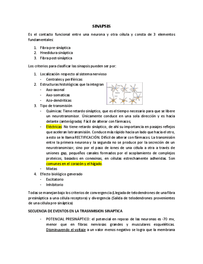 Miniatura del documento SINAPSIS.pdf