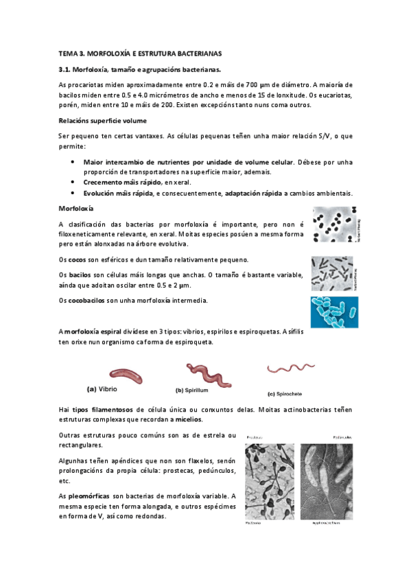 Miniatura del documento T3MIC.pdf