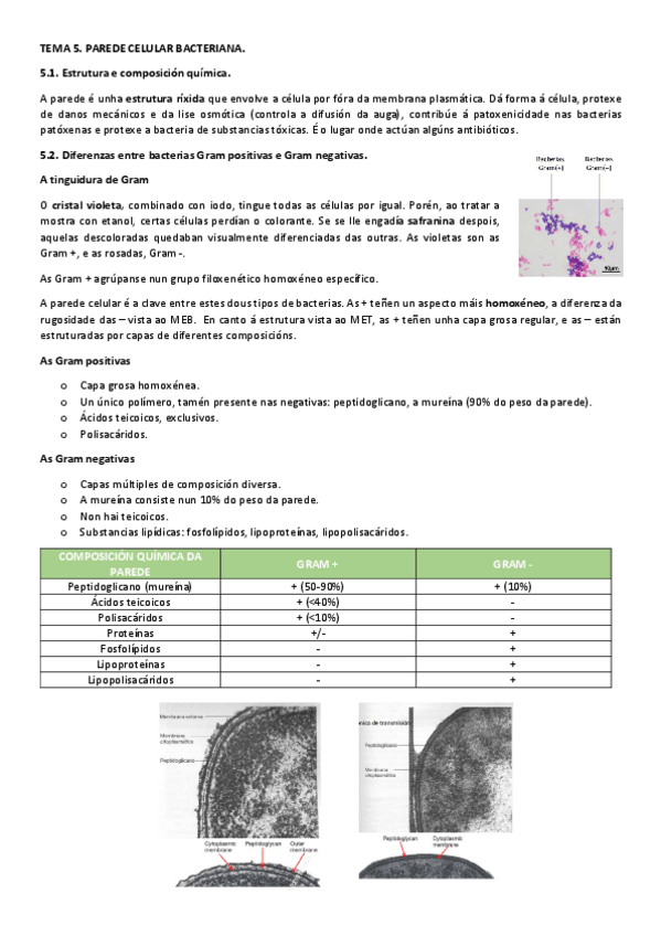 Miniatura del documento T5MIC.pdf