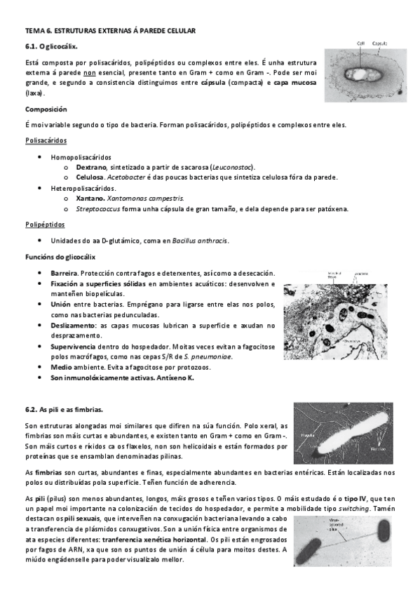 Miniatura del documento T6MIC.pdf