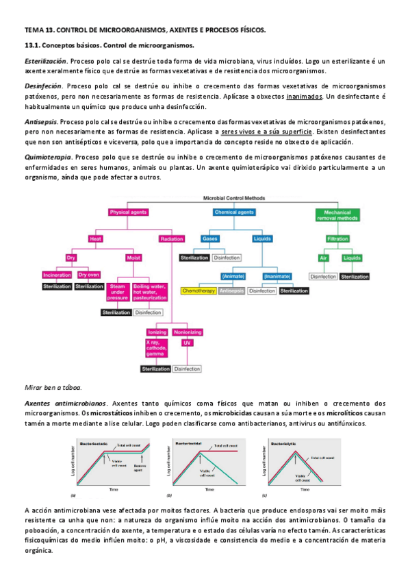 Miniatura del documento T13MIC.pdf