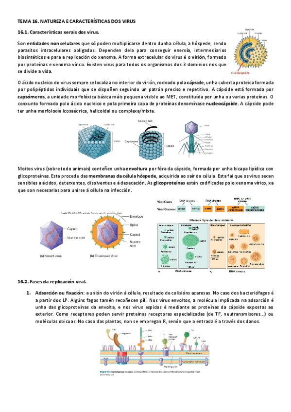 Miniatura del documento T16MIC.pdf