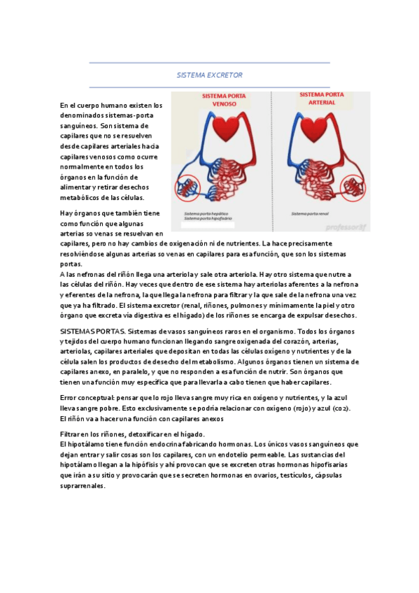 Miniatura del documento SISTEMA-EXCRETOR.pdf