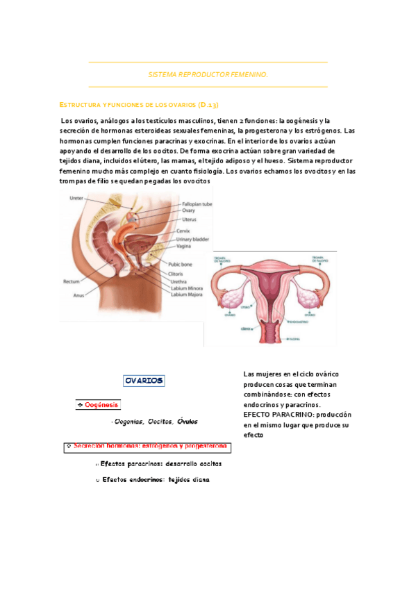 Miniatura del documento SISTEMA-REPRODUCTOR-FEMENINO.pdf
