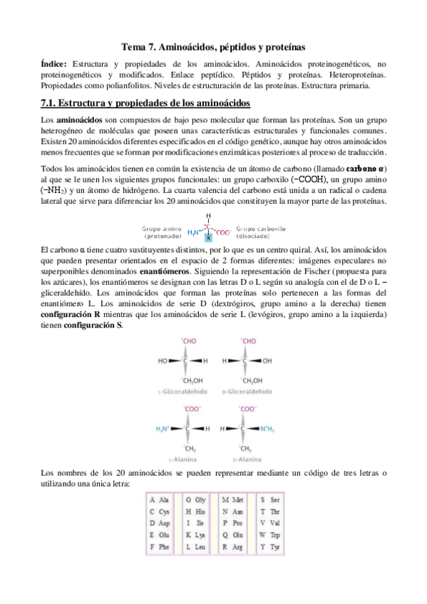Miniatura del documento Tema-7-Aminoa-pept-y-protes.pdf