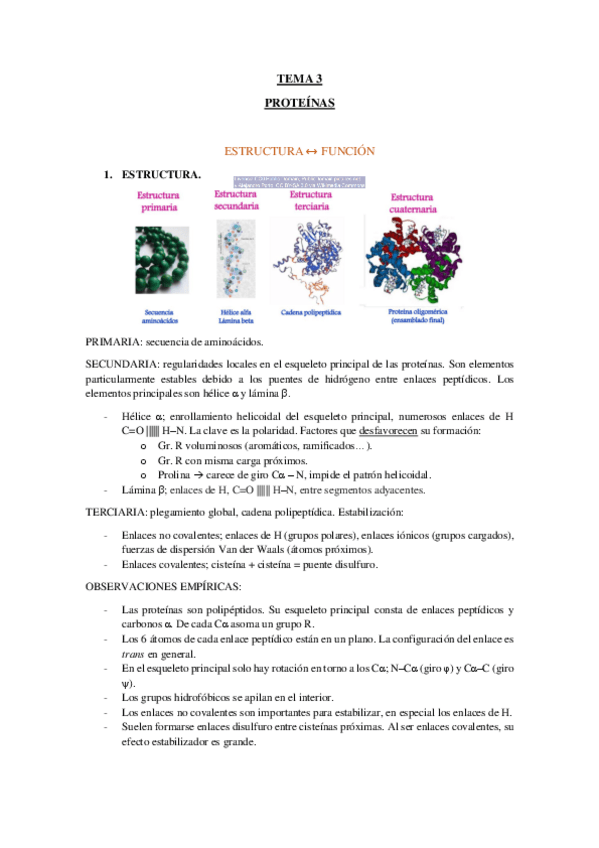 Miniatura del documento TEMA-3-PROTEINAS.pdf