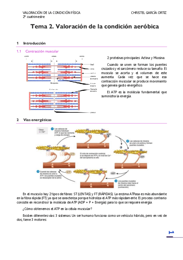 Miniatura del documento Tema-2.pdf
