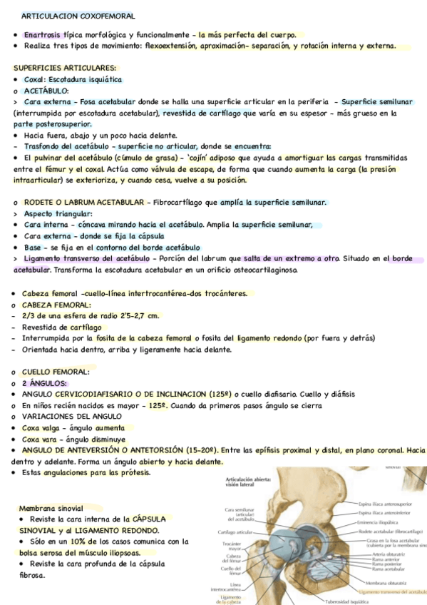 Miniatura del documento Miembro-Inferior.pdf