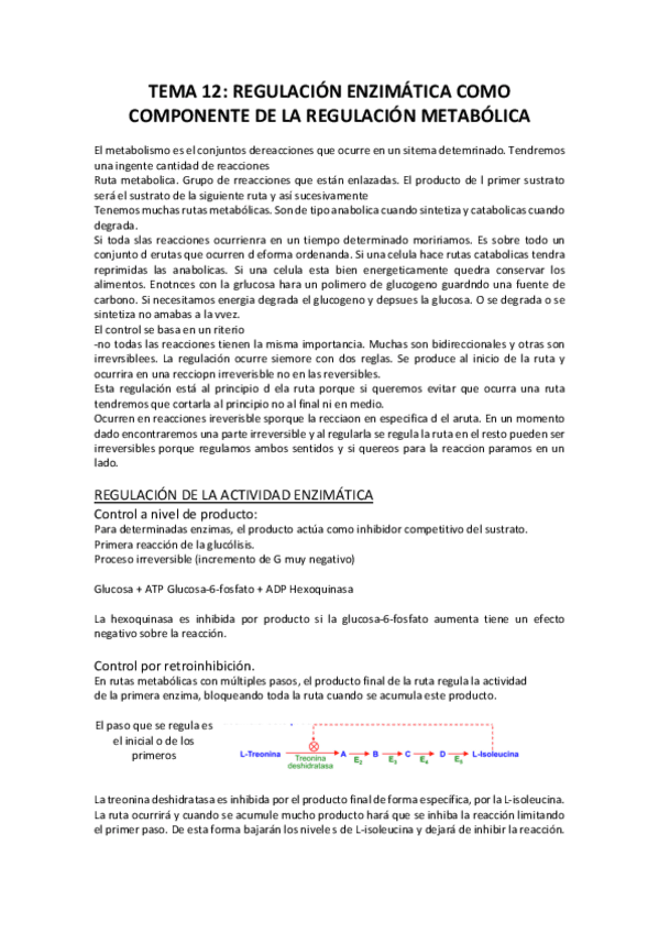 Miniatura del documento TEMA 12.pdf