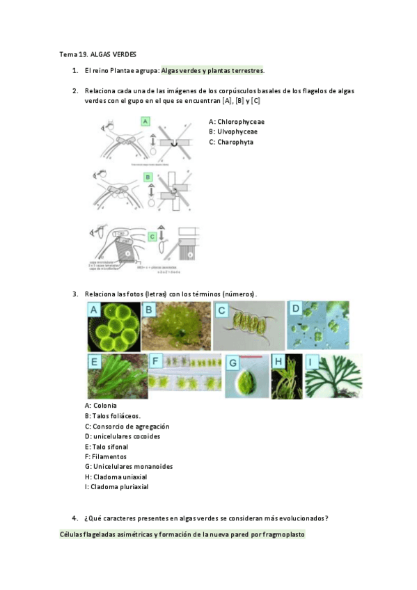 Miniatura del documento autoevaluacion-tema-19.pdf