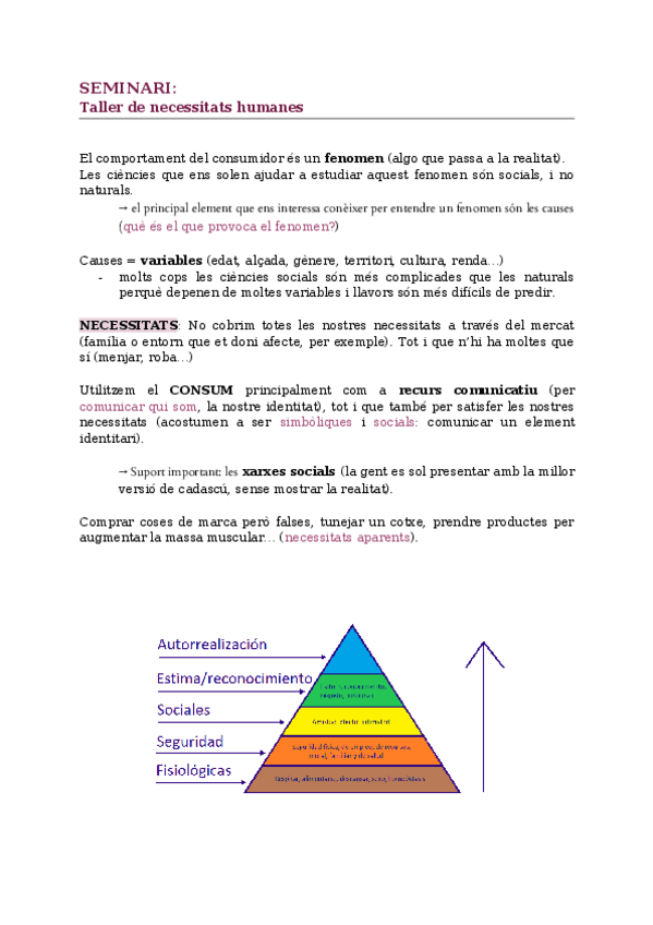 Miniatura del documento T3-Taller-de-necessitats-humanes.docx