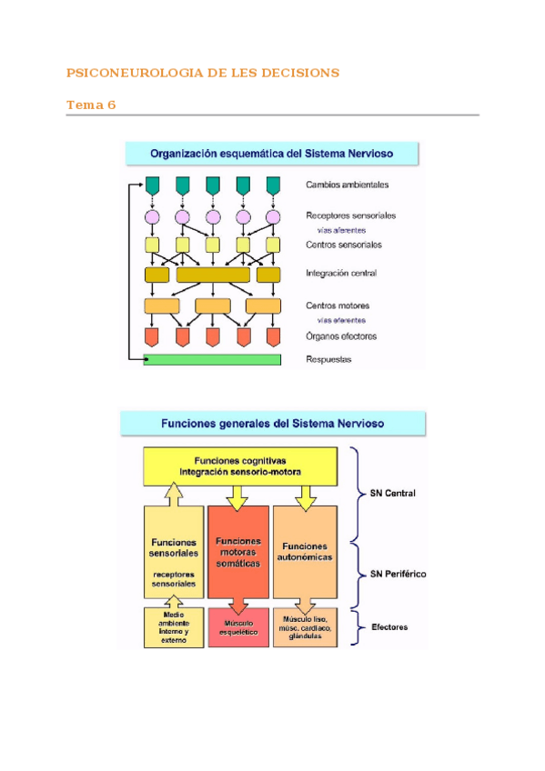 Miniatura del documento T6-Psiconeurologia-de-les-decisions.docx