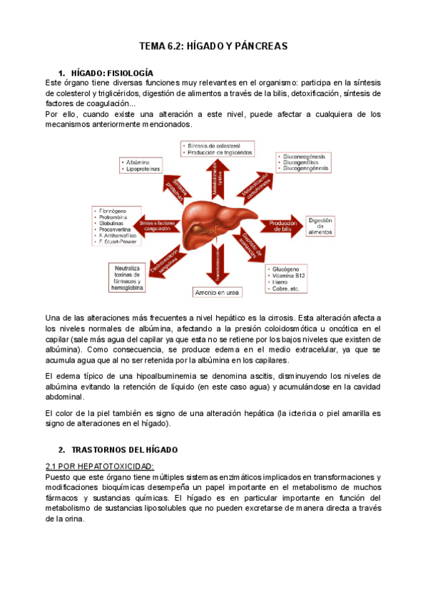 Miniatura del documento tema-6.2-higado-y-pancreas.docx.pdf